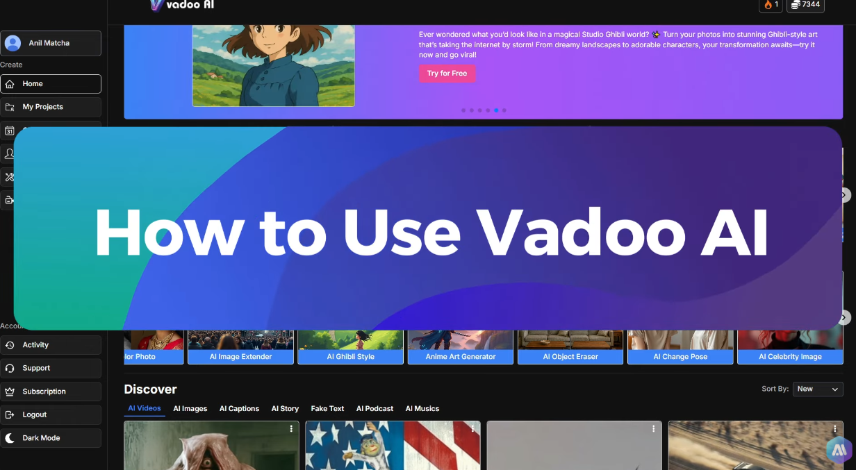How to Use Vadoo AI